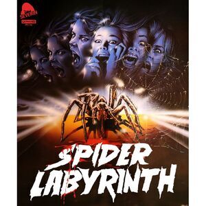 The Spider Labyrinth